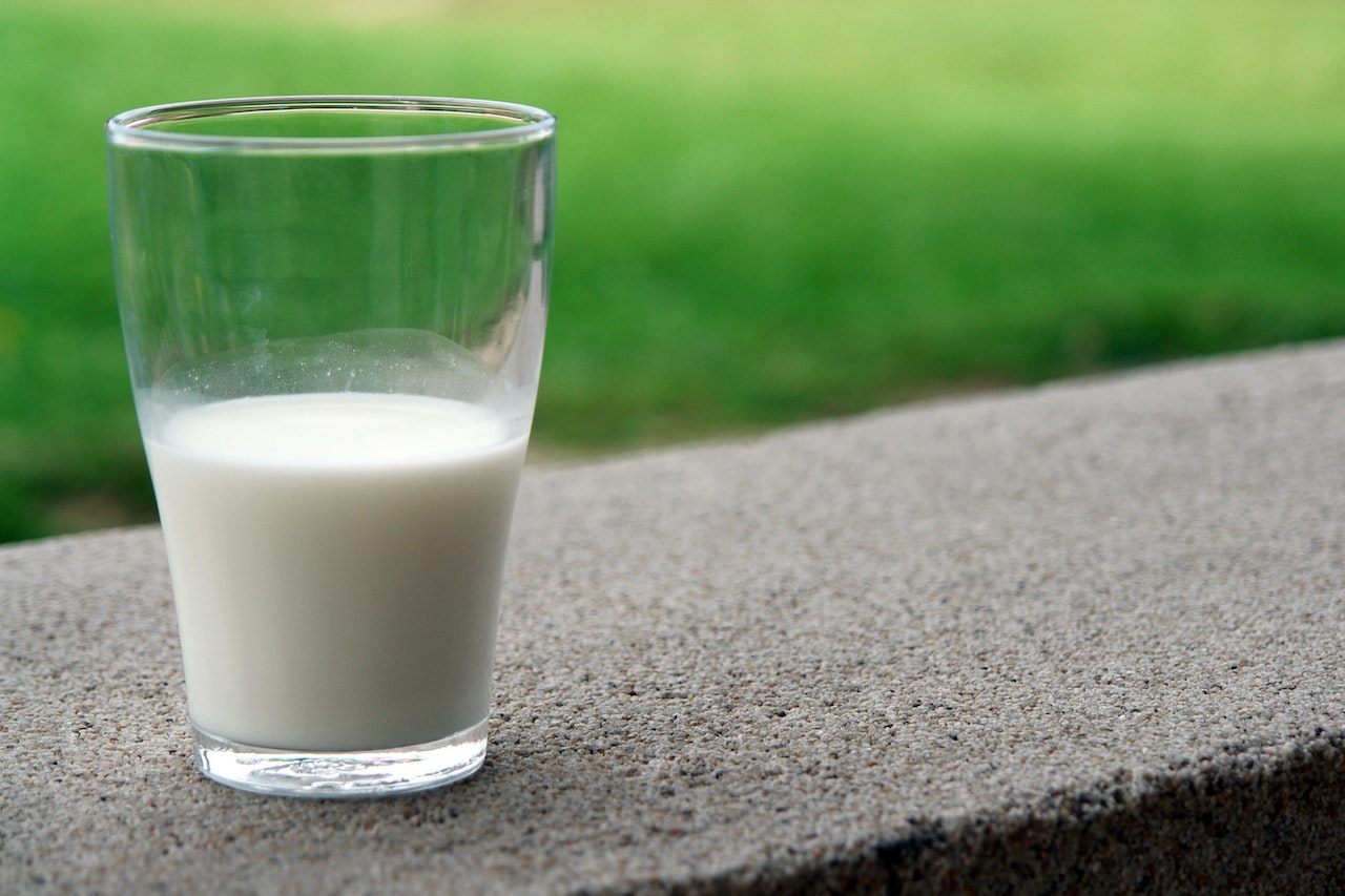 Mleko w proszku jako alternatywa dla mleka świeżego
