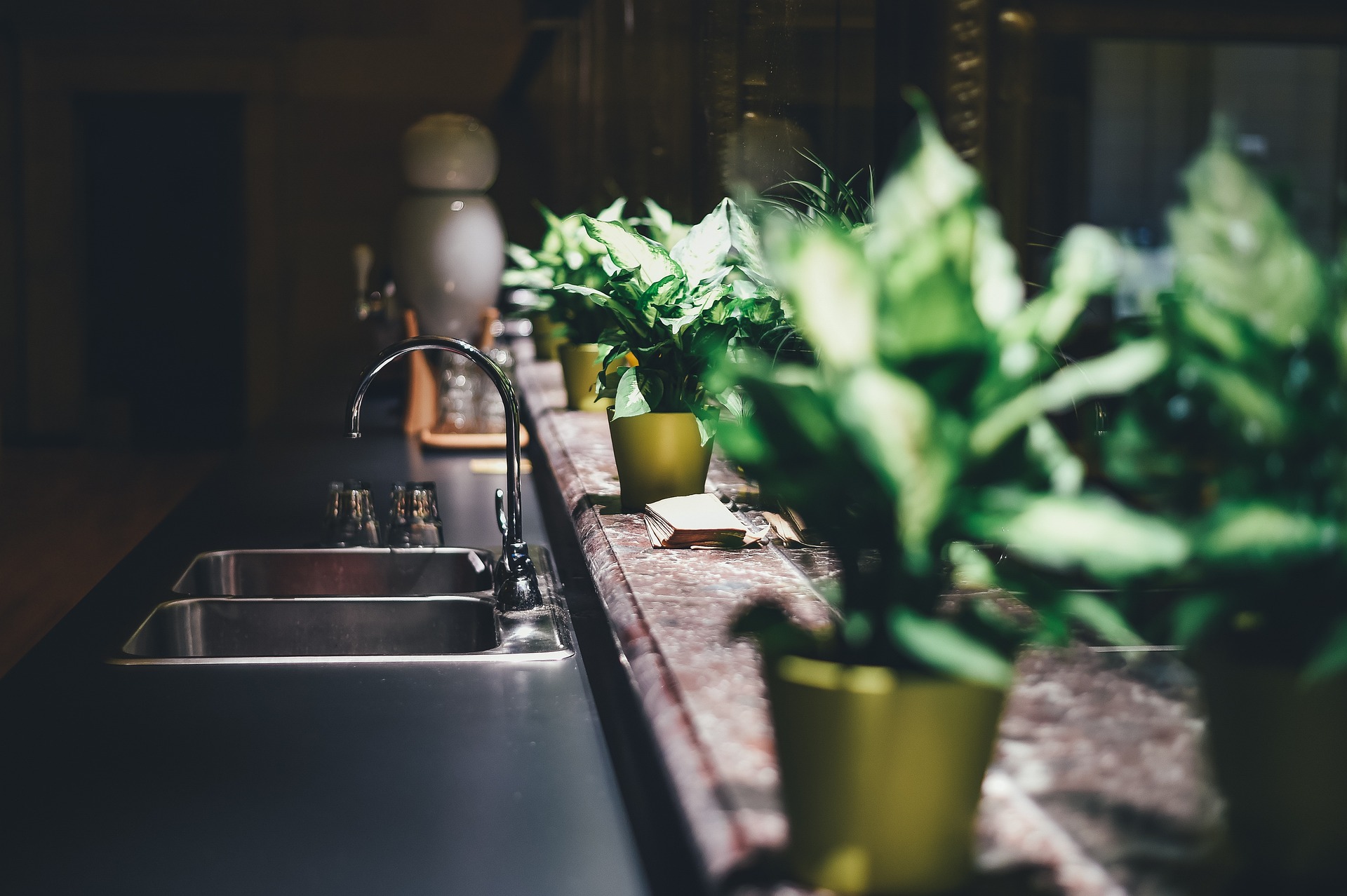 Świeże zioła w doniczkach, które musisz mieć w swojej kuchni